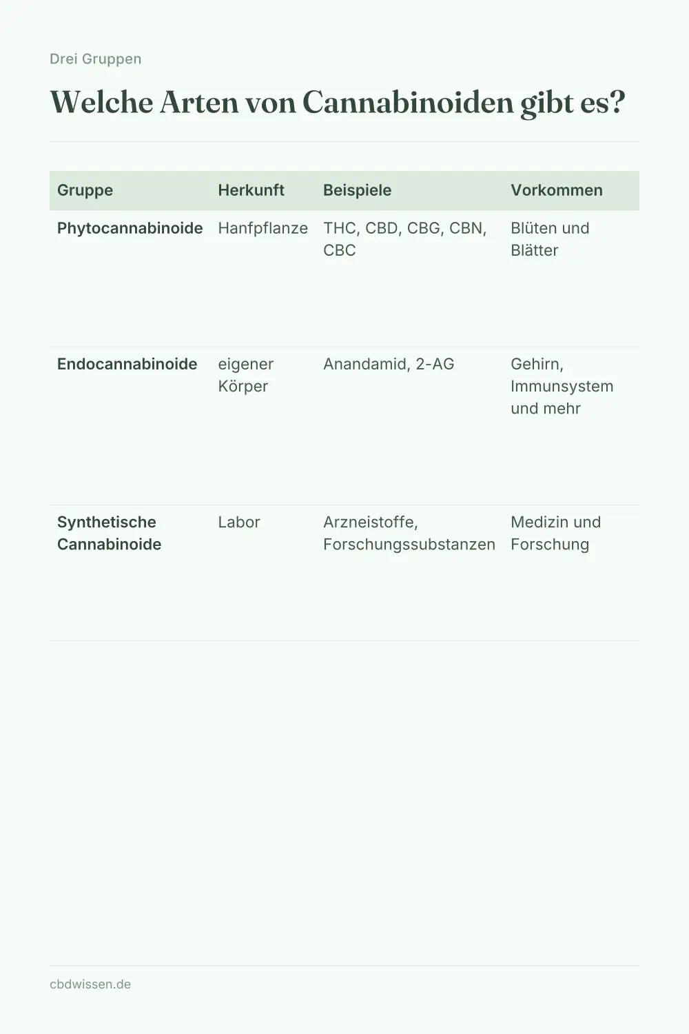 Infografik: Welche Arten von Cannabinoiden gibt es? — Drei Gruppen