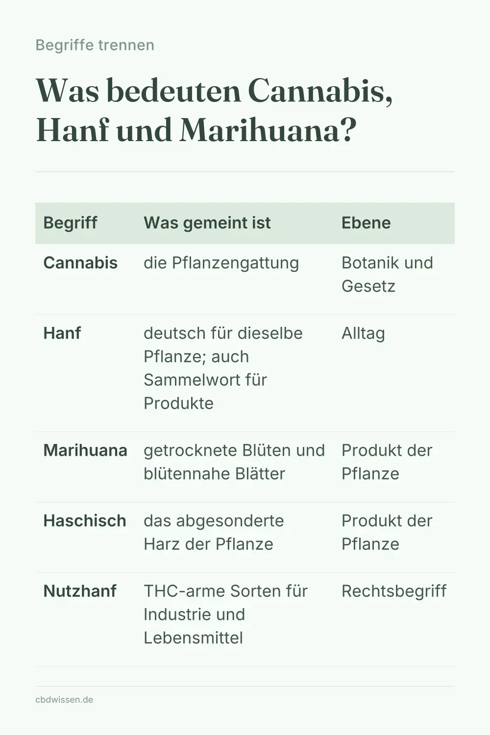 Infografik: Was bedeuten Cannabis, Hanf und Marihuana? — Begriffe trennen