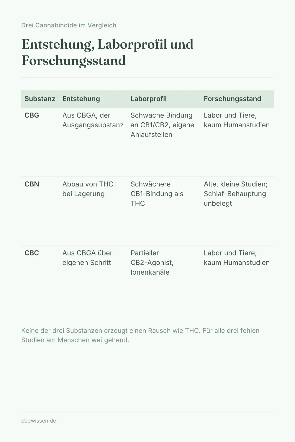 Infografik: Vergleichstabelle von CBG, CBN und CBC mit Entstehung, Laborprofil und Forschungsstand