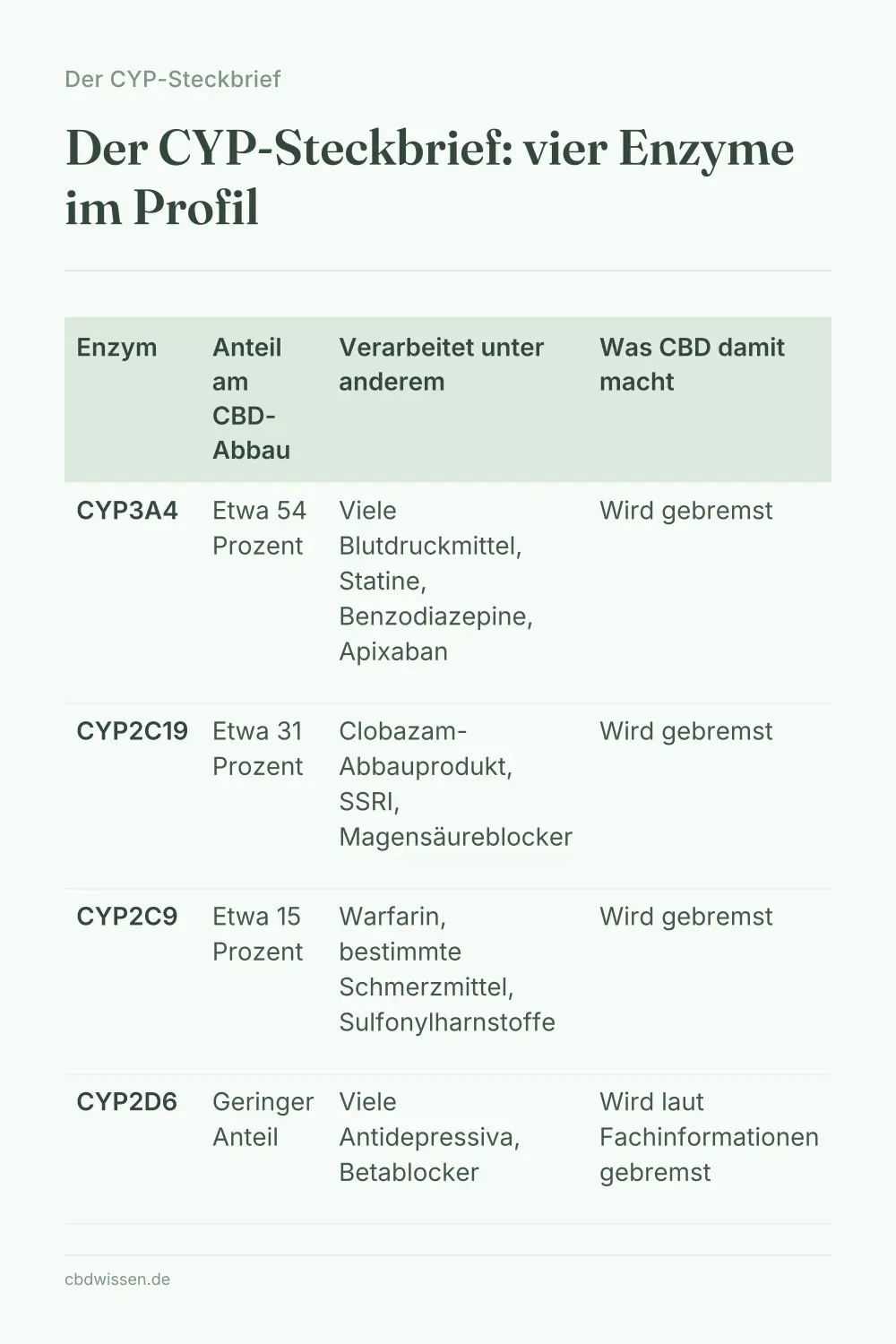 Infografik: Der CYP-Steckbrief: vier Enzyme im Profil — Der CYP-Steckbrief