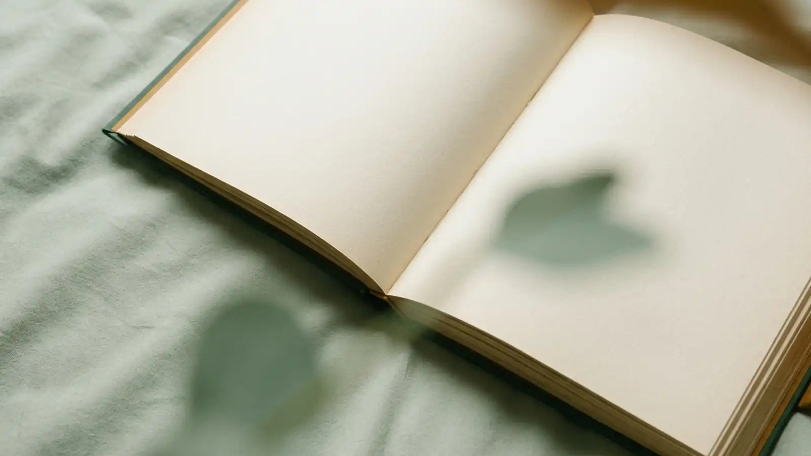 Aufgeschlagenes Buch mit leeren Seiten auf salbeifarbenem Stoff