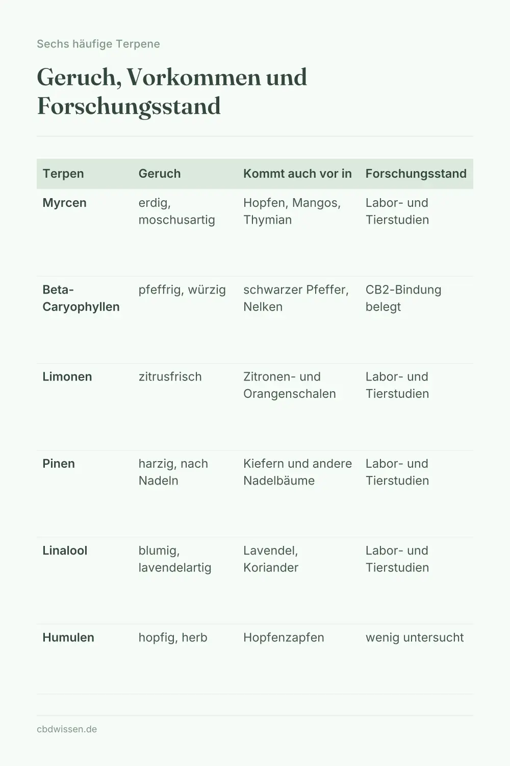 Infografik: Die sechs häufigsten Terpene im Hanf mit Geruchsbeschreibung und weiterem Vorkommen