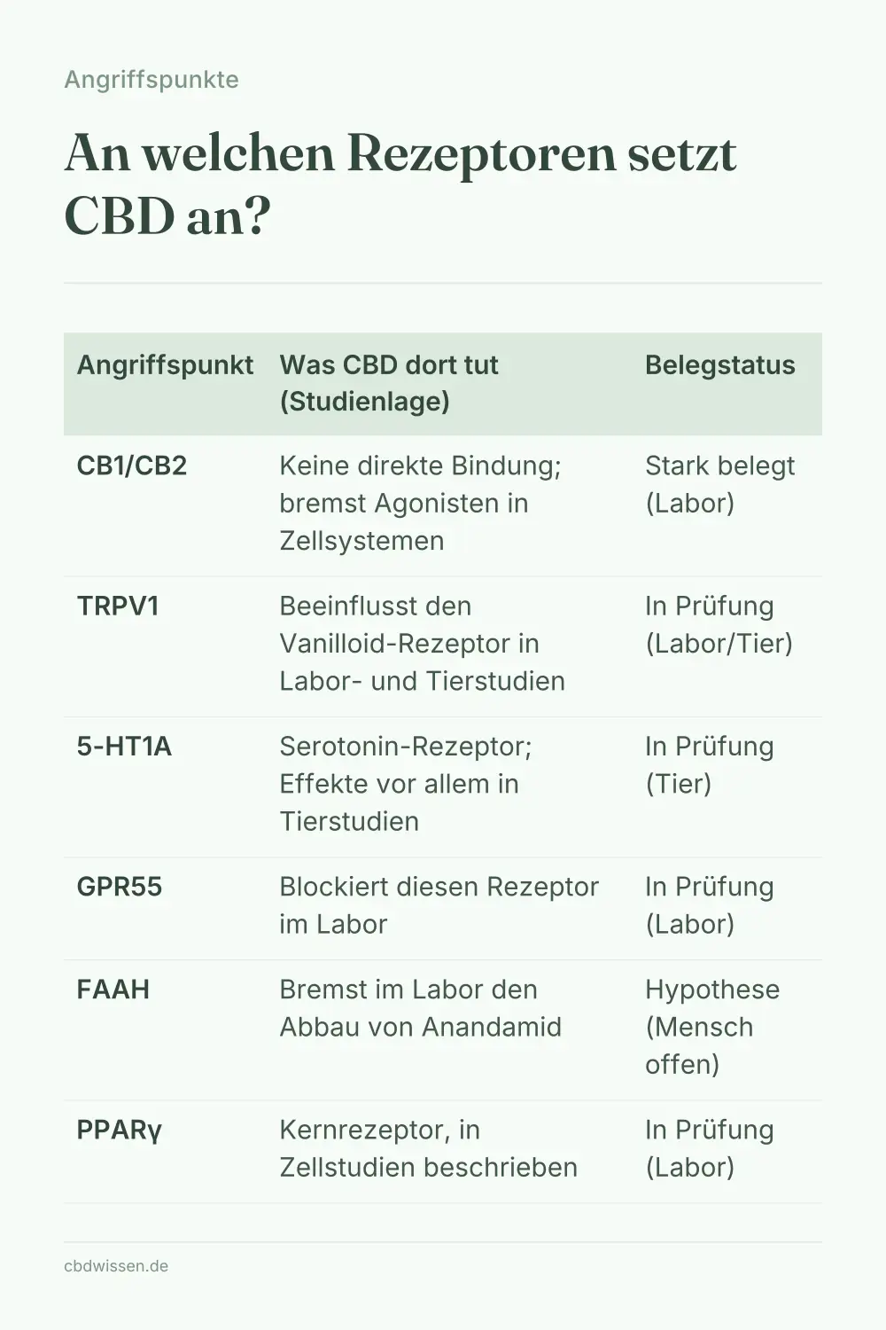 Infografik: An welchen Rezeptoren setzt CBD an? — Angriffspunkte